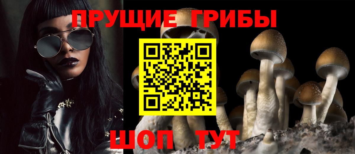 Галлюциногенные грибы Magic Shrooms Спасск-Дальний